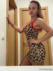 641686186: Transexual en Valencia