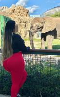 627089079: Chica busca chico en Mallorca