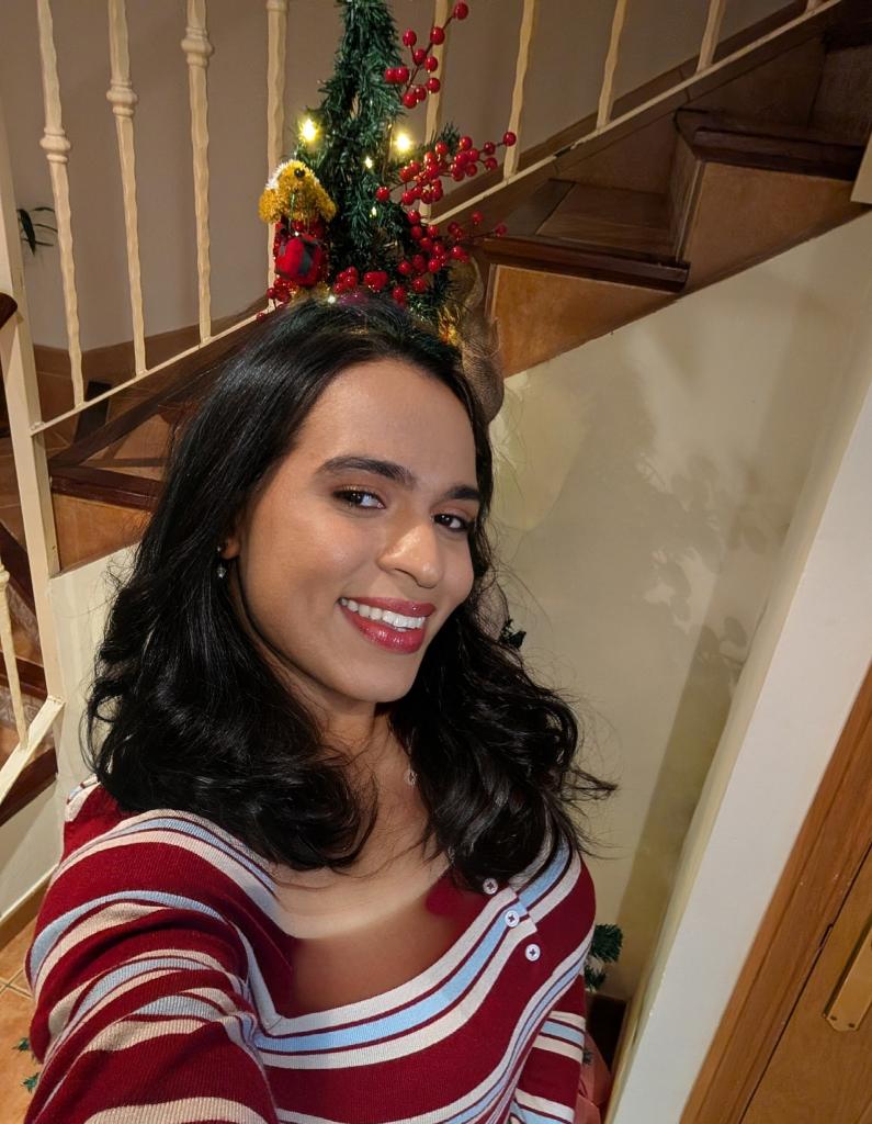 Travesti en Castellón: 