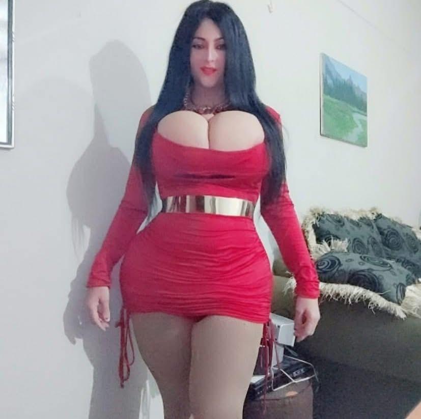 Travesti en Alicante: 