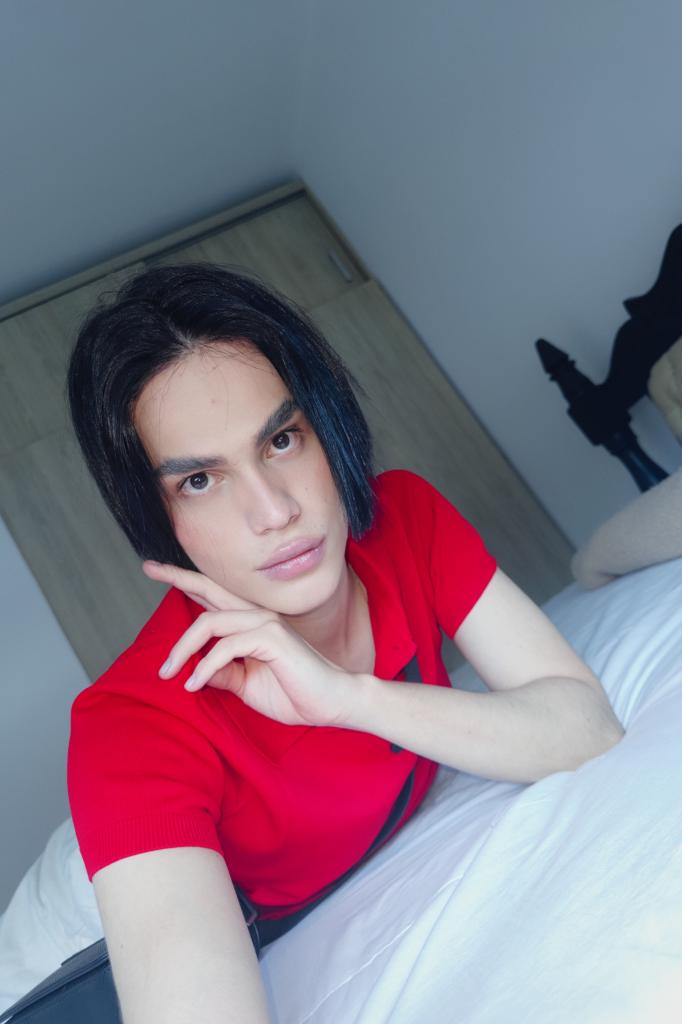 Chico busca chica en Asturias: 