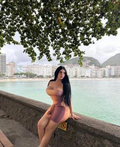 Travesti en Valencia: 