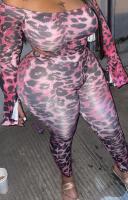 624512008: Chica busca chico en Murcia