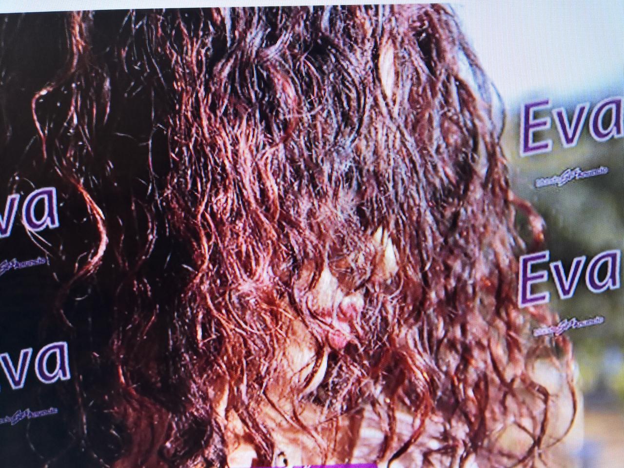 614953422: Chica busca chico en Córdoba